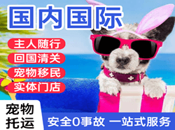 攀枝花保安营机场物流国际宠物托运 【国